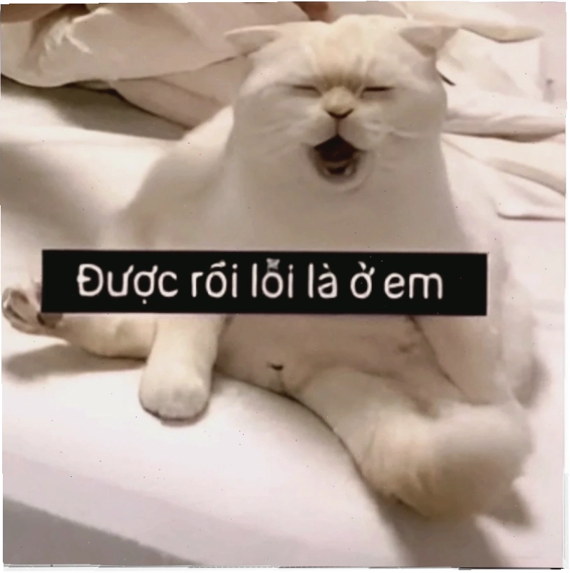 Meme xin lỗi chắp tay