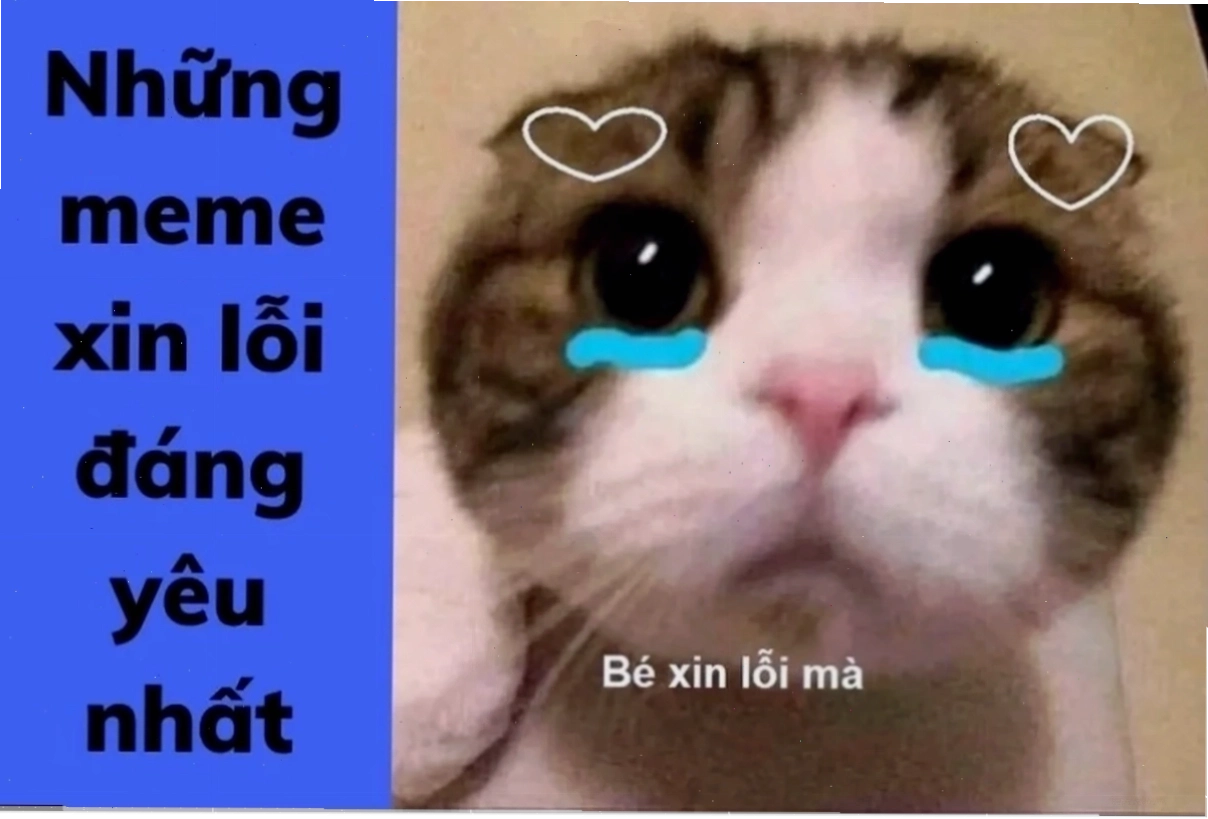 Meme xin lỗi đồng nghiệp