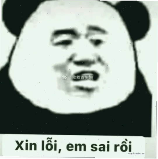 Meme xin lỗi hài hước