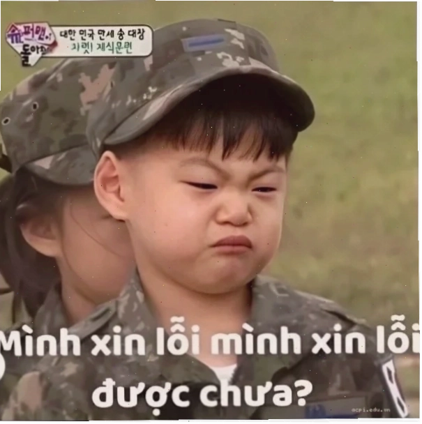 Meme xin lỗi mà thật dễ thương