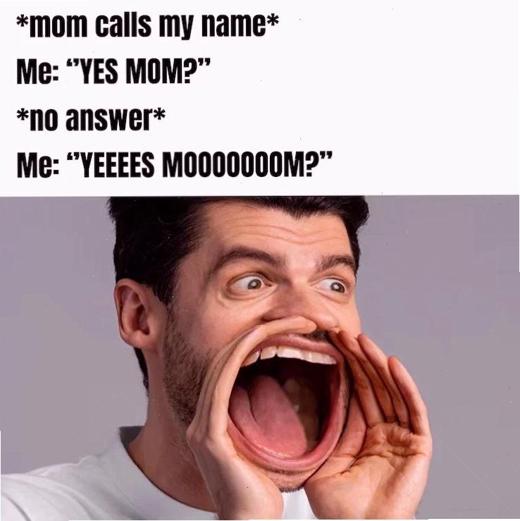 memes free meme