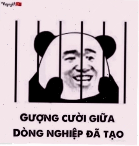 Mèo bựa trong kho meme mèo