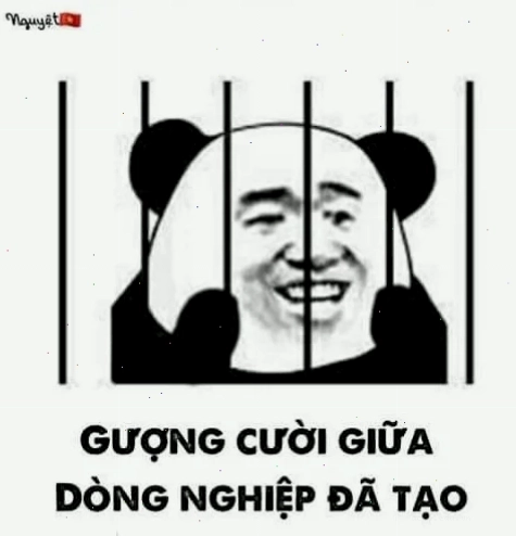 Mèo bựa trong kho meme mèo