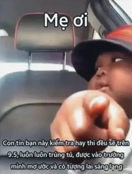 Mèo chỉ tay đầy phán xét