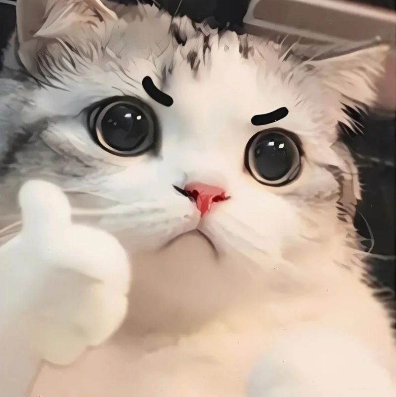 mèo đáng yêu meme đang chơi đùa