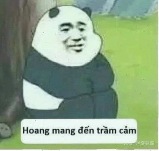 mèo hoang mang meme mèo hoang mang meme bối rối