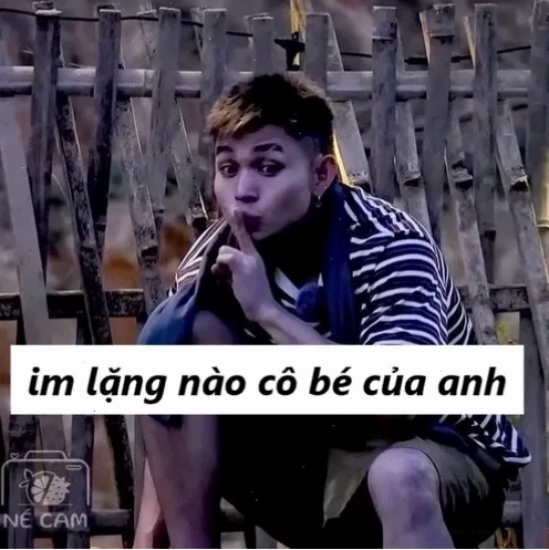 mèo im lặng meme ngáo
