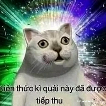 mèo khai sáng meme siêu cấp