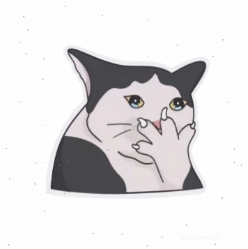 mèo khóc meme