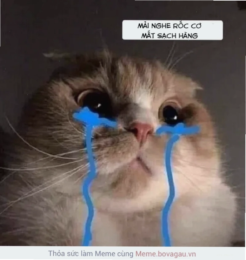 mèo khóc meme
