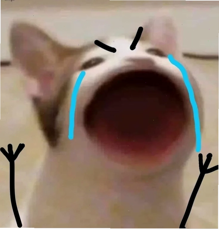 mèo khóc meme