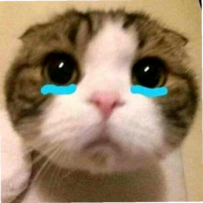 mèo khóc meme