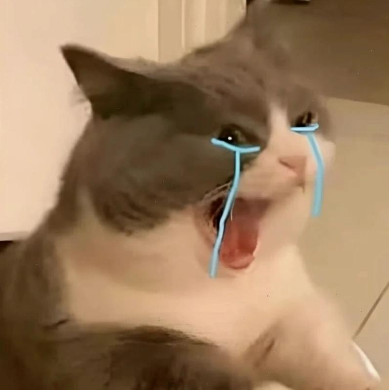 mèo khóc meme cute