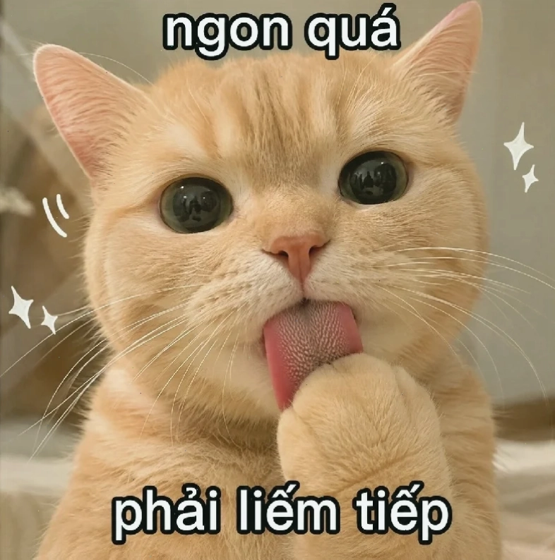 Mèo liếm chuối Mèo liếm chuối trong meme