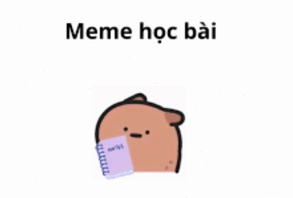 Mèo lười học bài với biểu cảm meme học bài cực lầy