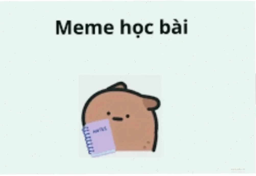 Mèo lười học bài với biểu cảm meme học bài cực lầy