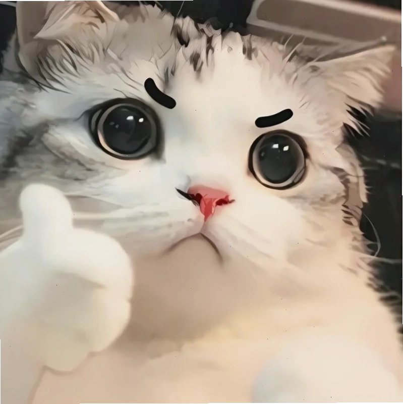 mèo meme love cute