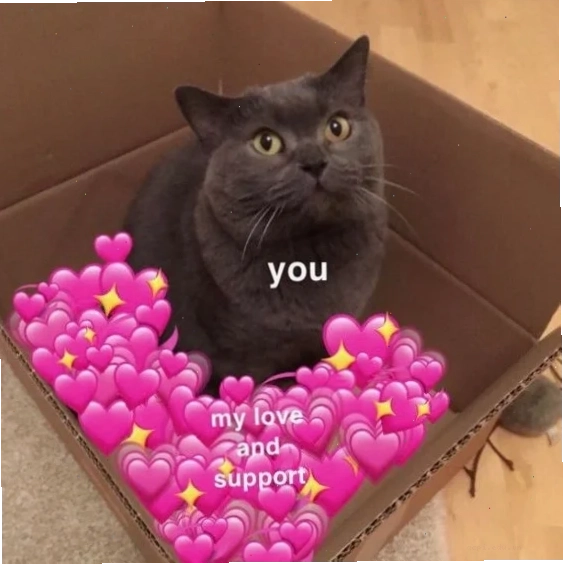 mèo meme love funny