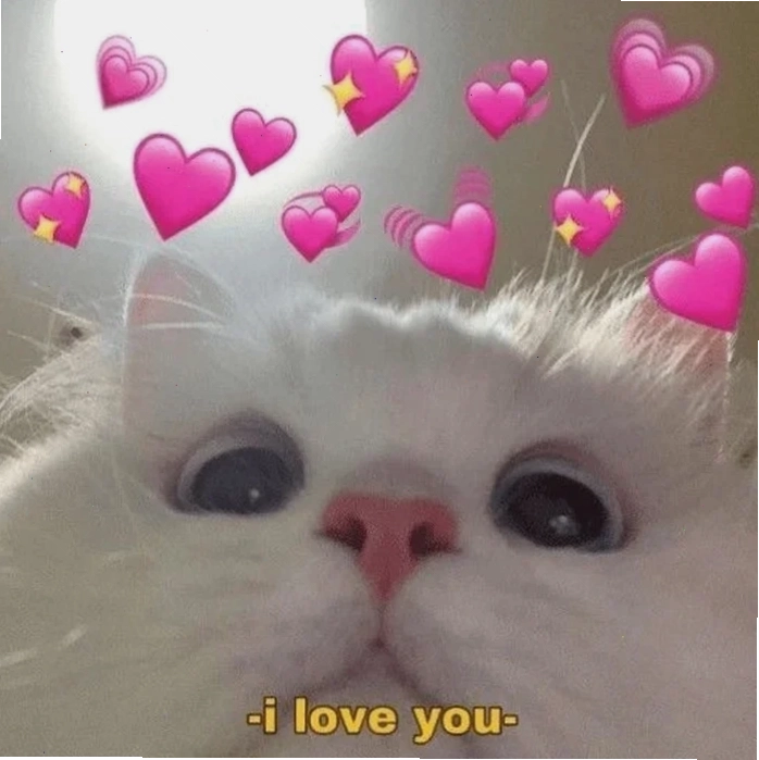 mèo meme love funny