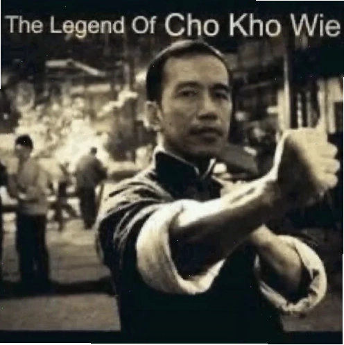 Mèo nằm ườn trong kho meme mèo