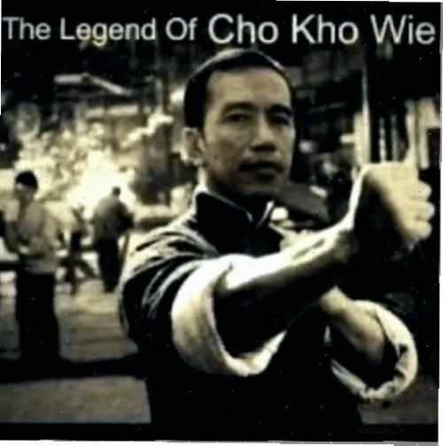 Mèo nằm ườn trong kho meme mèo
