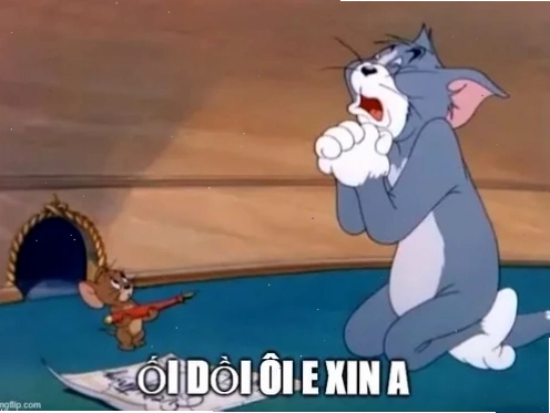 Mèo ôm chân cầu xin meme