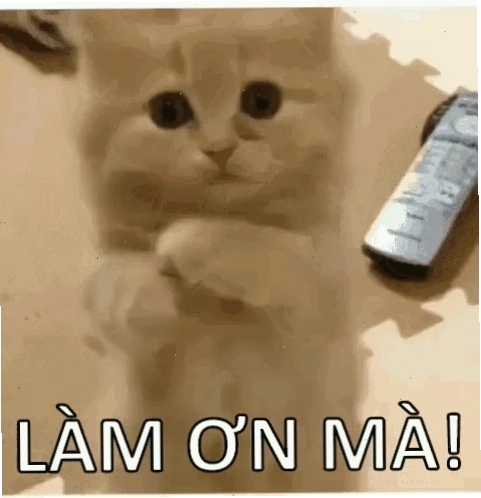 Mèo tom cầu xin meme kiểu tội nghiệp
