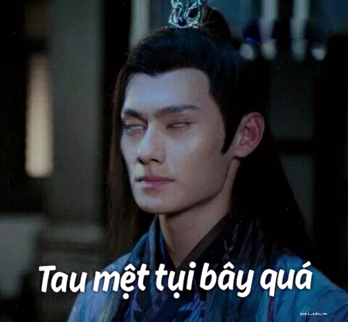 mệt mỏi meme