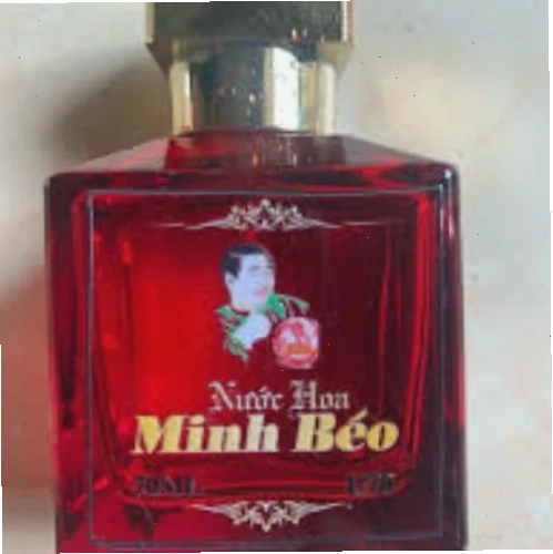 minh béo meme