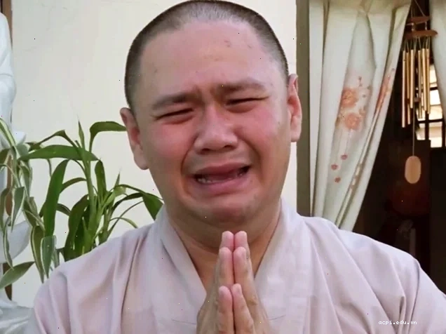minh béo meme