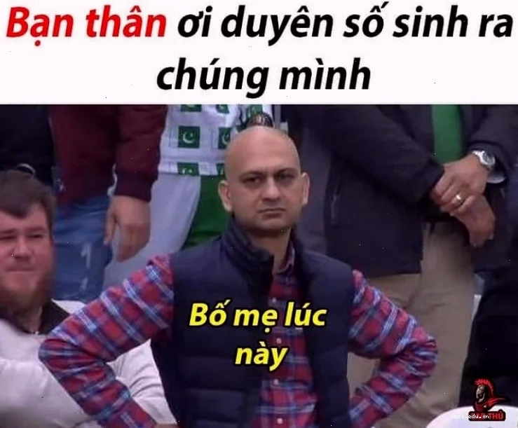 Minh họa tâm trạng khi dùng câu còn gì nữa đâu mà khóc với sầu