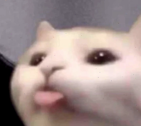 mlem meme cat vui nhộn