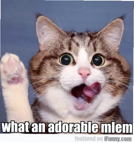 mlem meme gif độc lạ