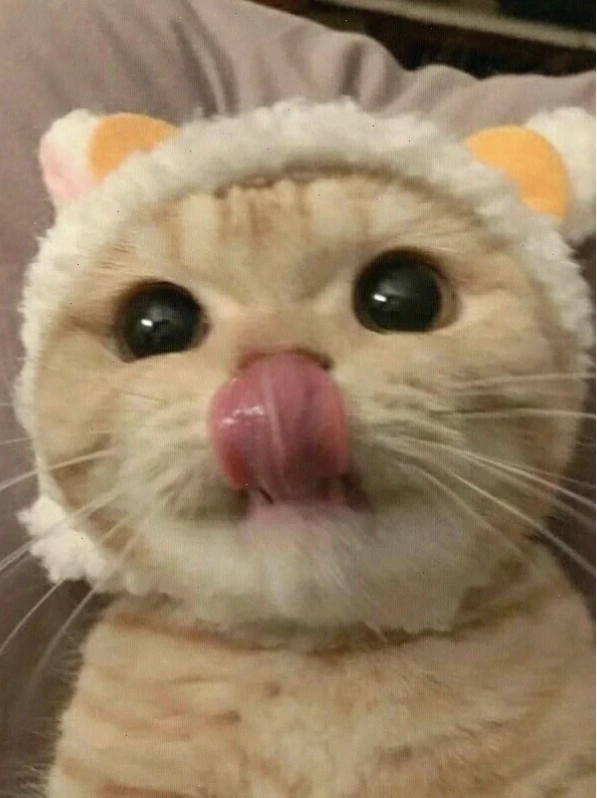 mlem meme sáng tạo