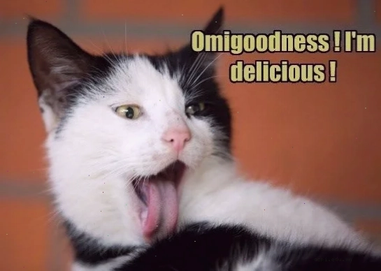 mlem meme sound đỉnh