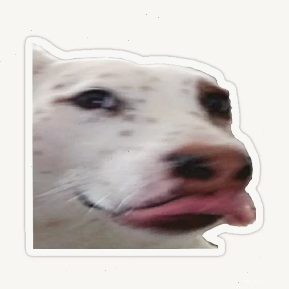 mlem meme template