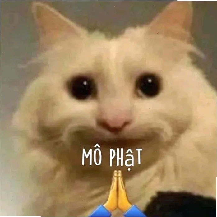 mô phật meme mèo cười nhạt