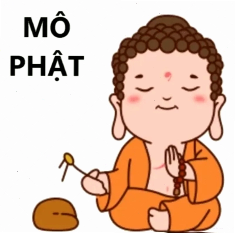 mô phật meme mèo hài hước