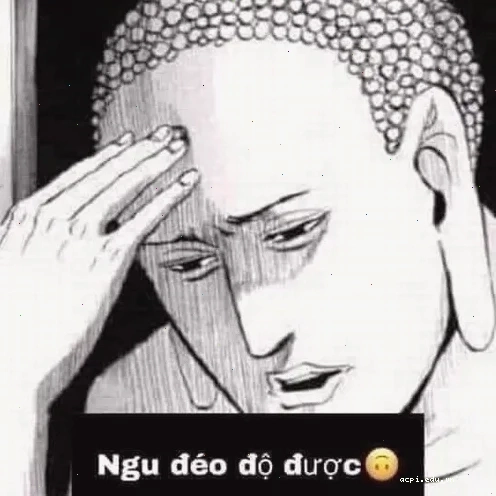 mô phật meme mèo siêu lạ