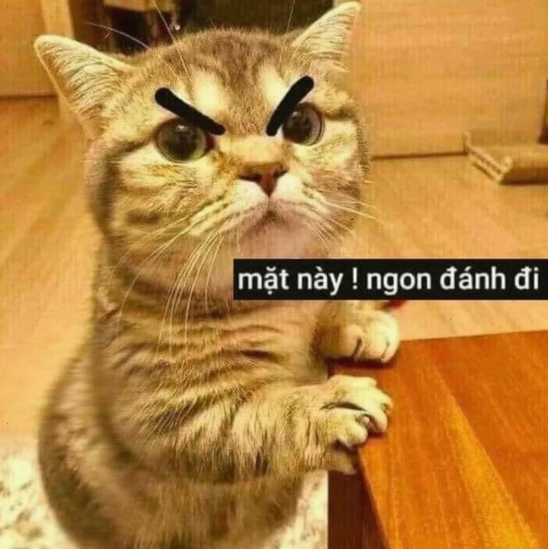 mô tả đánh nhau meme