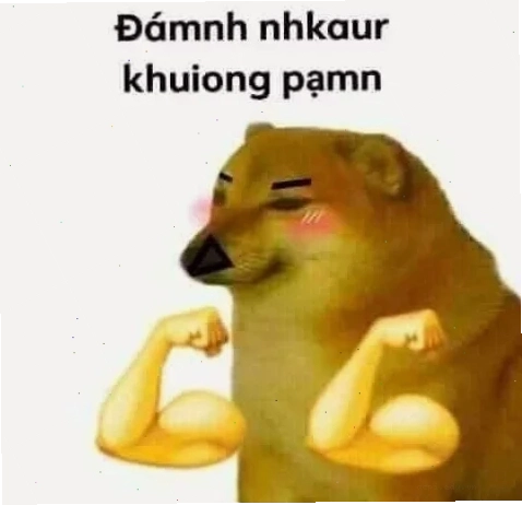 mô tả đánh nhau meme
