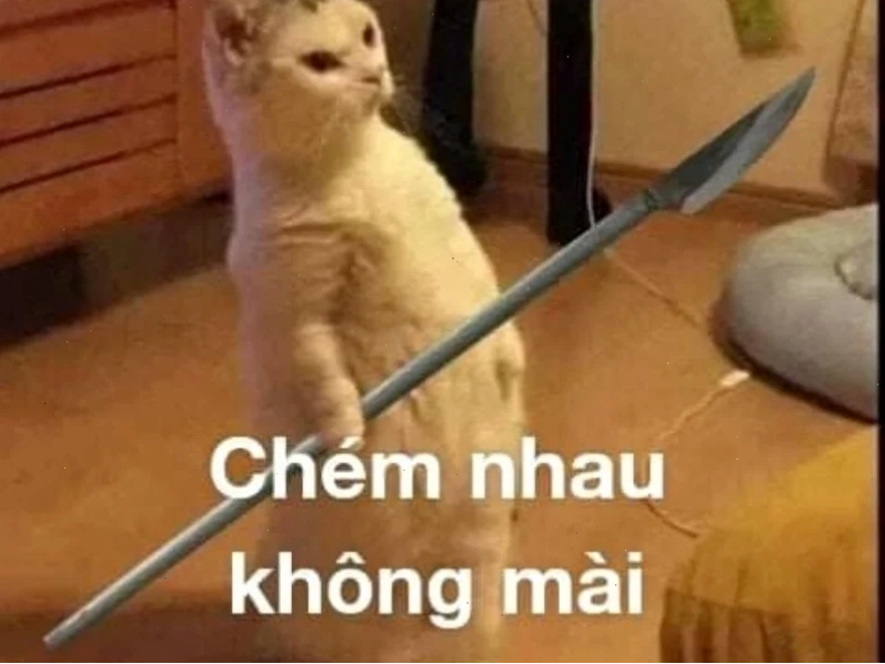 mô tả đánh nhau meme