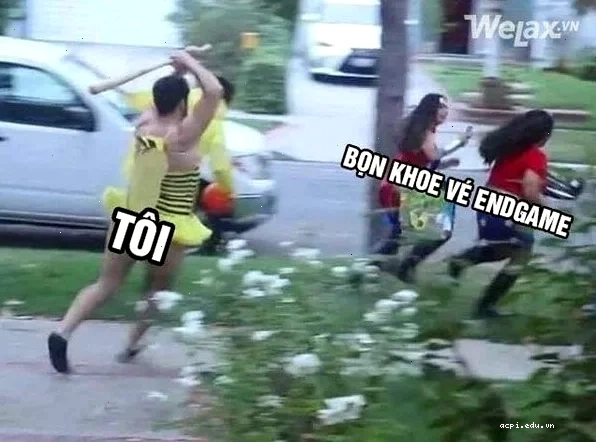 mô tả đánh nhau meme