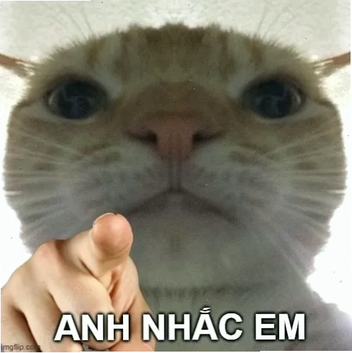 Mọi người đang thưởng thức nhạc memes