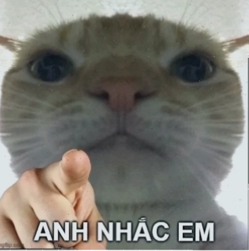 Mọi người đang thưởng thức nhạc memes