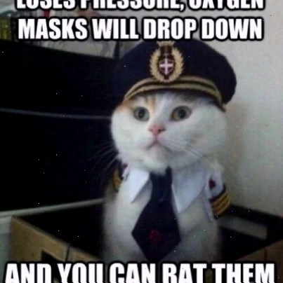 monkey oxygen meme