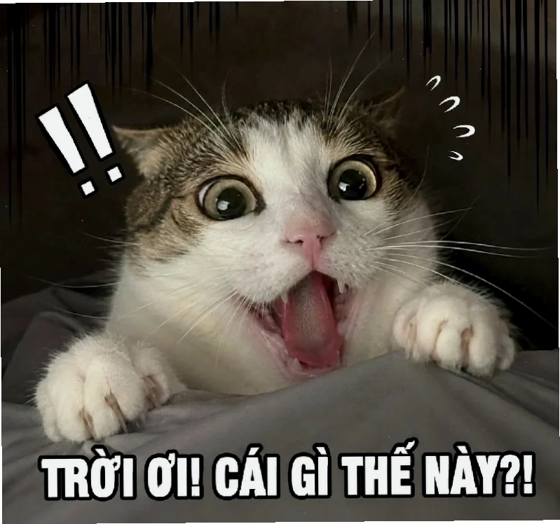 Một biểu cảm hốt hoảng meme kinh điển của nhân vật