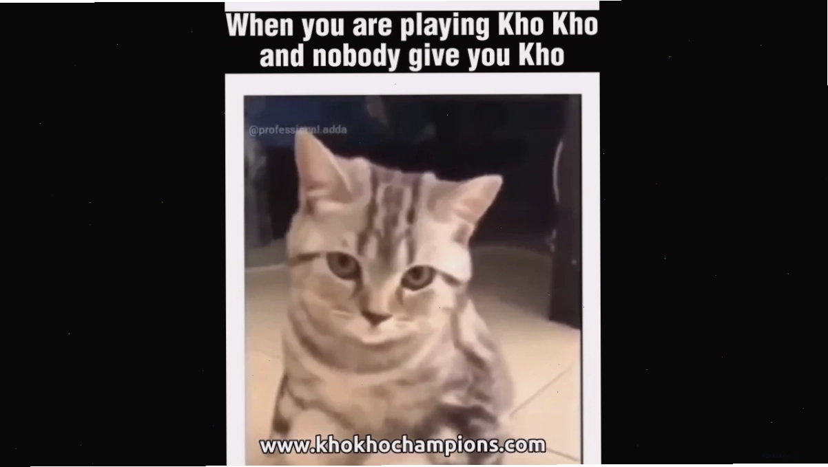 Một biểu cảm trong kho meme hài hước