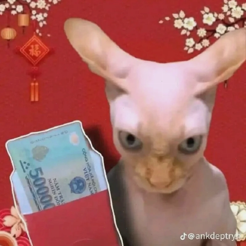 Một chiếc tet meme vui vẻ ngày xuân