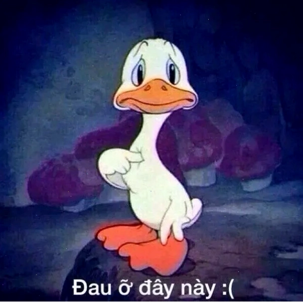 Một chú chó nhỏ buồn bã cùng đau ở đây này meme cực đáng yêu
